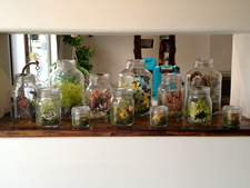 フラワーデザイナー宇田陽子